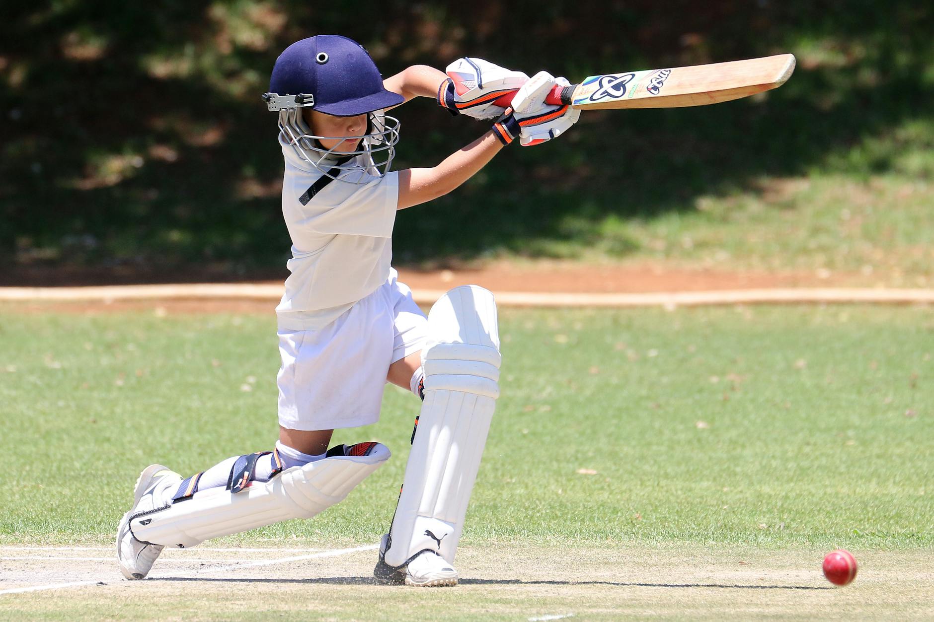 Sports and Physical Education